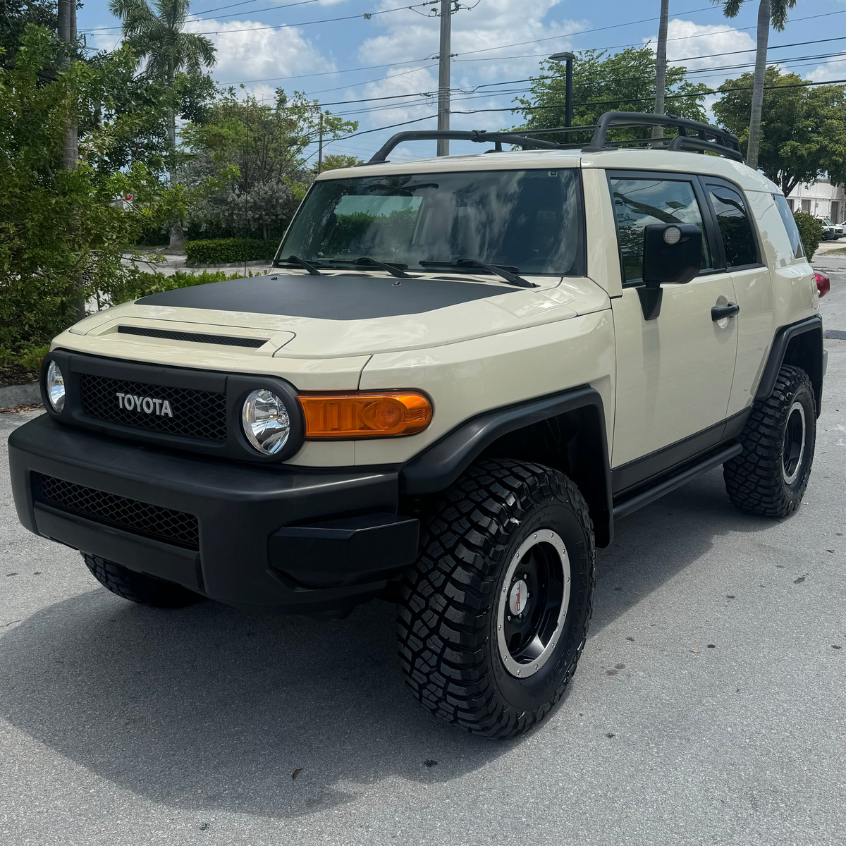 2010 FJ CRUISER TRAIL TEAM EDITION